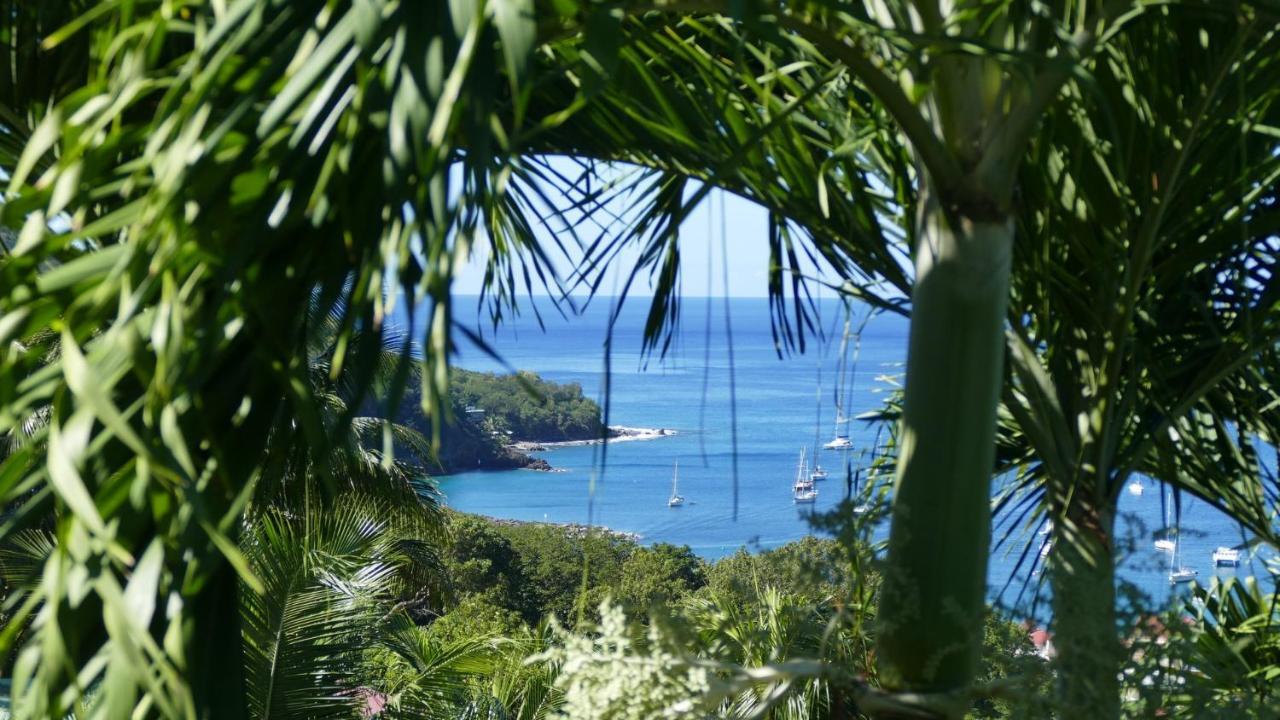 O Coeur De Deshaies Appartements Grande Anse Et Amandiers Экстерьер фото