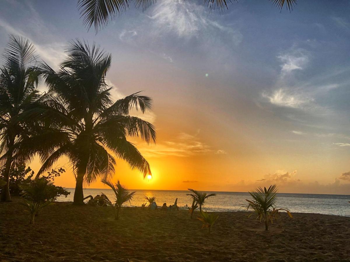 O Coeur De Deshaies Appartements Grande Anse Et Amandiers Экстерьер фото